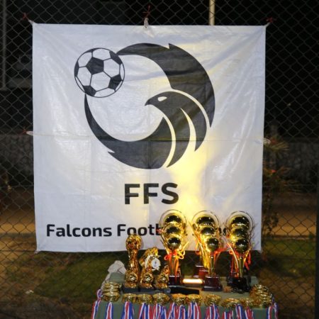 مدرسة فالكونس لكرة القدم